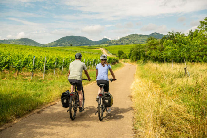 Mit dem Rad auf der Weinlagen-Tour zwischen Ilbesheim und Siebeldingen (Foto: CC-BY-SA Pfalz Touristik, Dominik Ketz)