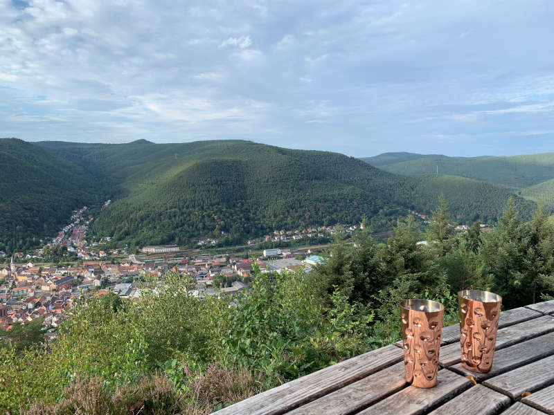 Aussicht vom Wildsaukopf (Foto: H. Zinsmeister / Pfalz-Touristik e.V.)