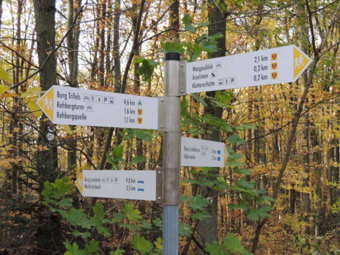 Die Markierung und Ausschilderung der neustrukturierten Wanderwege soll voraussichtlich Ende 2028 abgeschlossen sein. (Foto: Verein SÜW Annweiler am Trifels)