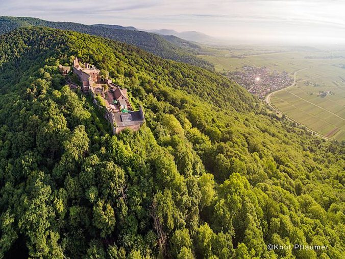 Madenburg (Foto: Knut Pflaumer, Pfalz Touristik e.V.)
