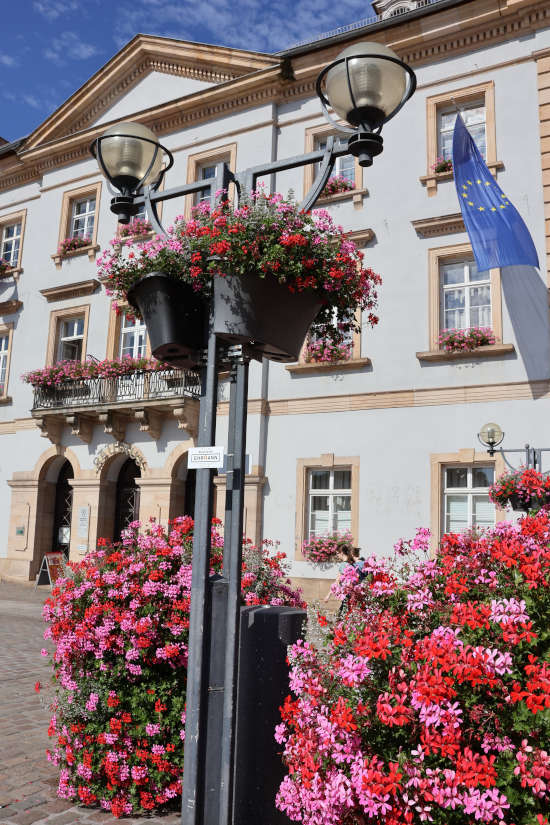 Blumenschmuck (Quelle: Stadt Landau)