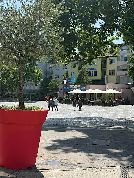 Bunte Blumenkübel auf dem Rathausplatz (Foto: Wirtschaftsförderung FT)