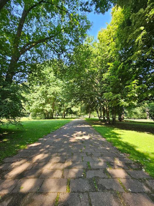 Blick aus Osten in den Volkspark (Foto: Stadt Kaiserslautern)