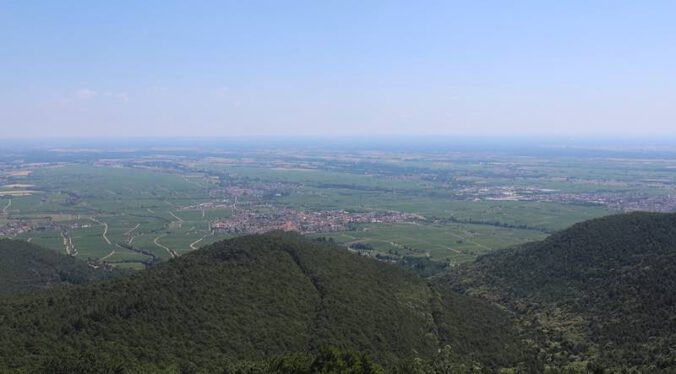 Perspektive der Wetterkamera in Maikammer (Foto: Touristinformation Maikammer)