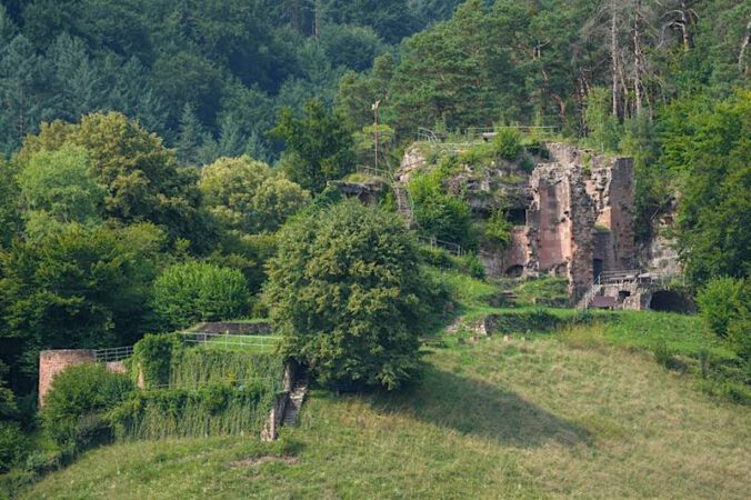 Burg Neidenfels (Foto: Holger Knecht