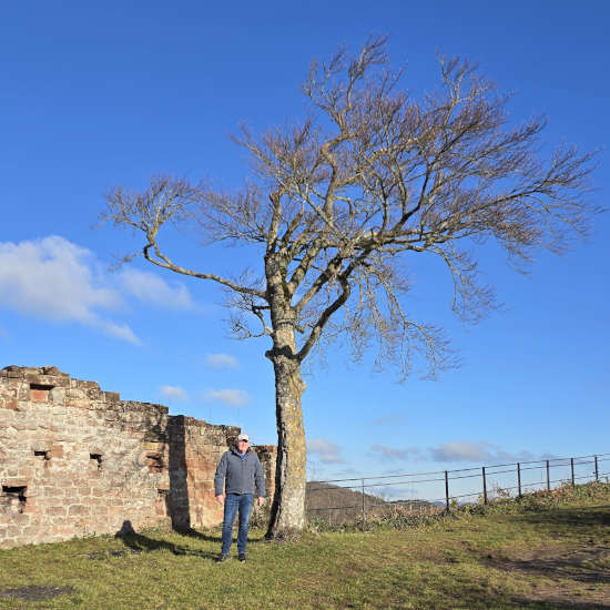 Burgruine Lindelbrunn (Foto: Walter-Touren, Michael Walter)