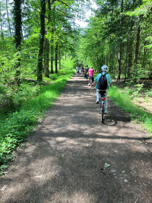 Radgruppe im Wald (Foto: Esther Grüne)