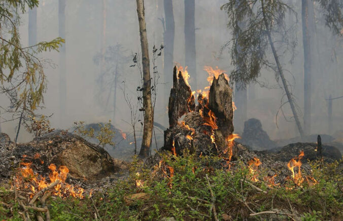 Symbolbild Waldbrand (Foto: Pixabay/Ylvers)