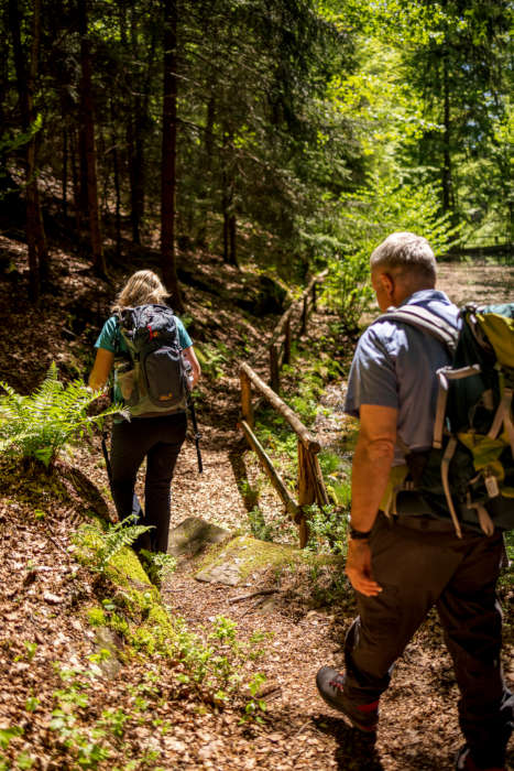 Die neue "Herz und Seele Tour" geht durchs romantische Karlstal (Foto: Landesforsten.RLP.de / J.Fieber)