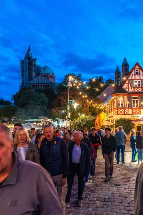 Altstadtfest 2025 (Foto: Michael Varelmann)
