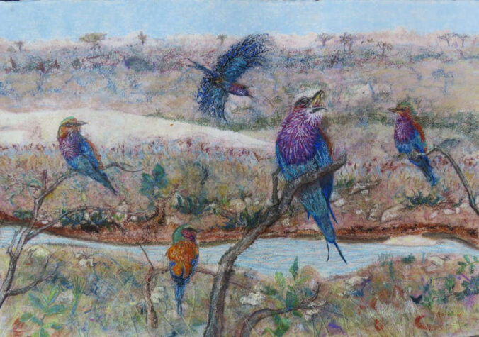 „Birds of South Africa Lilac Breasted Roller Best“. (Foto: Jacklyn Gratzfeld)