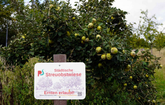 Foto: Stadt Pirmasens / Maximilian Zwick