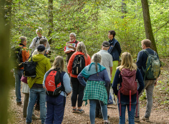 Mit den Biosphären-Guides den Pfälzerwald und seine Besonderheiten entdecken (Foto: Ralf Ziegler)