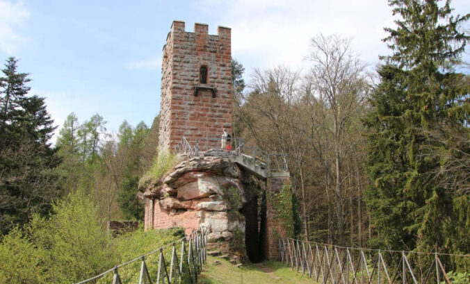 Burgruine Erfenstein (Foto: Harald König)