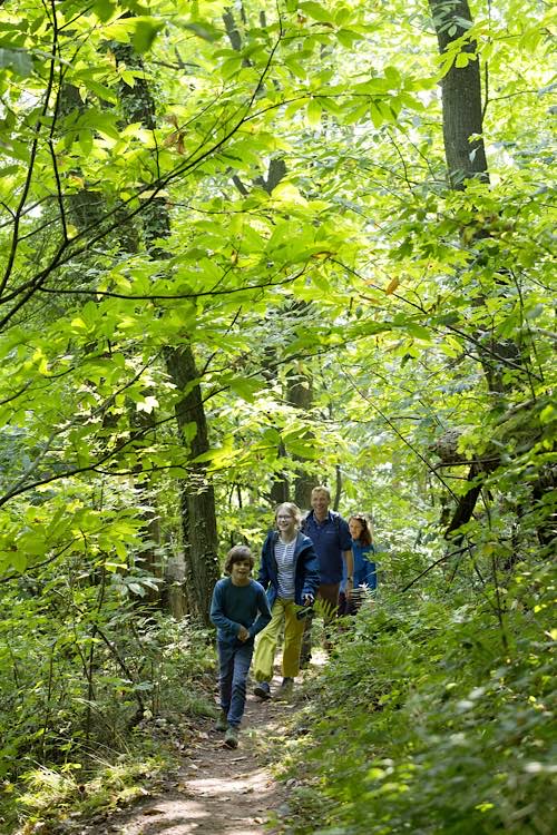 Wandern auf dem Keschdeweg (Foto: Markus Kirchgessner, Bildarchiv Südliche Weinstrasse e.V.)
