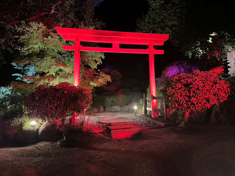 Illumination (Foto: Japanischer Garten Kaiserslautern)