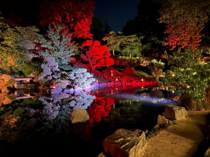 Illumination (Foto: Japanischer Garten Kaiserslautern)