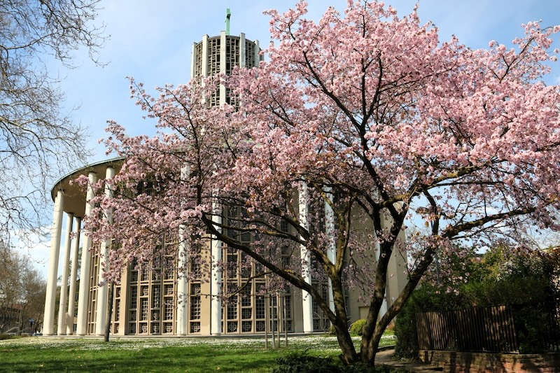 Friedenskirche (Foto: Fritz Hofmann)