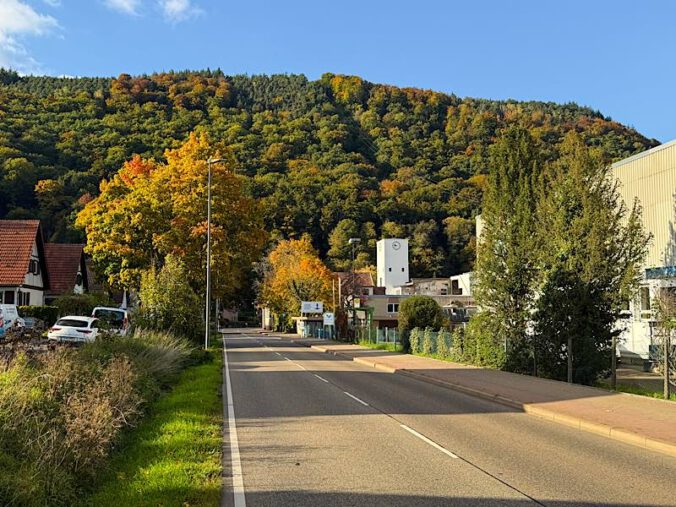 Die B39 im Westen von Neustadt an der Weinstraße (Foto: Holger Knecht)
