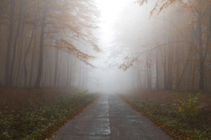 Symbolbild Herbst Nebel (Foto: Pixabay/Pexels)