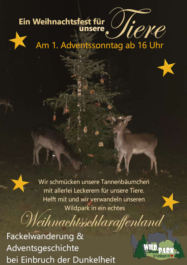 Tierischer Wildadvent im November 2025 im Wild- und Wanderpark Südliche Weinstraße