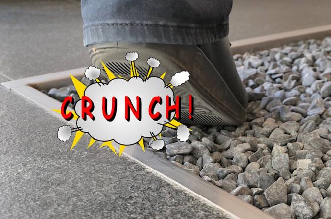 Crunch! (Foto: Pfalzmuseum für Naturkunde)
