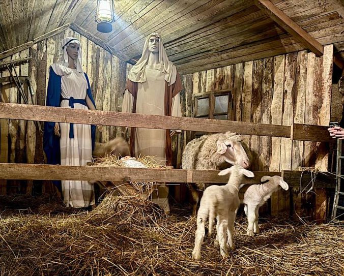 „Advent im Schafstall“ wird am zweiten Adventswochenende in Busenberg gefeiert. (Foto: Biosphärenreservat/Franziska Keller)