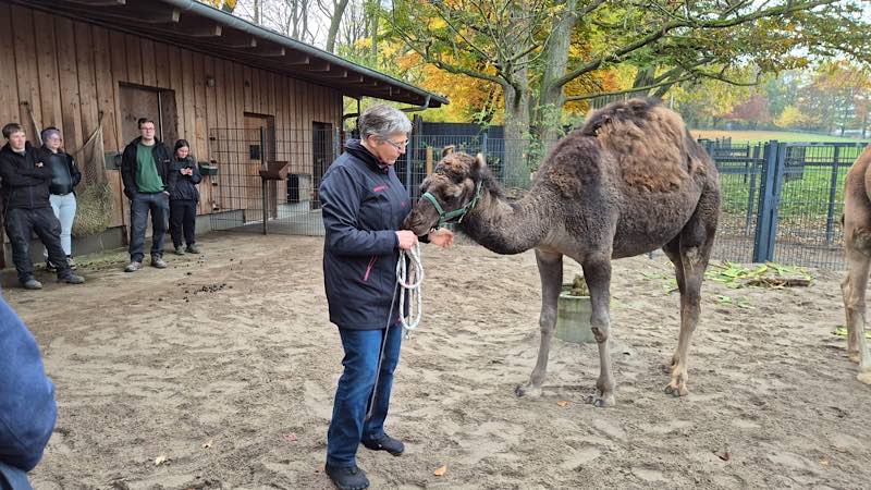 Quelle: N. Koßmann, Zoo Landau