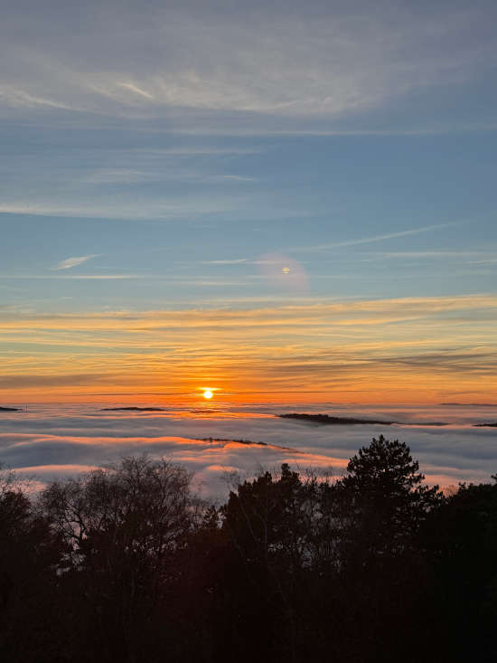 Foto: Gerald Spieler