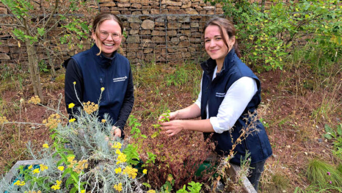 Die Umweltpraktikantinnen im Jahr 2025. (Foto: Biosphärenreservat Pfälzerwald-Nordvogesen/Keller)