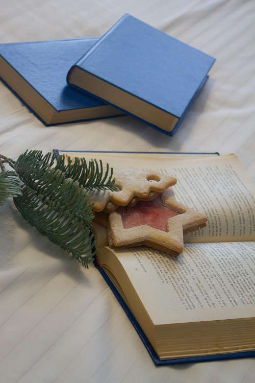 Symbolbild Advent Weihnachten Vorlesen (Foto: Pixabay/Olga Volkovitskaia)