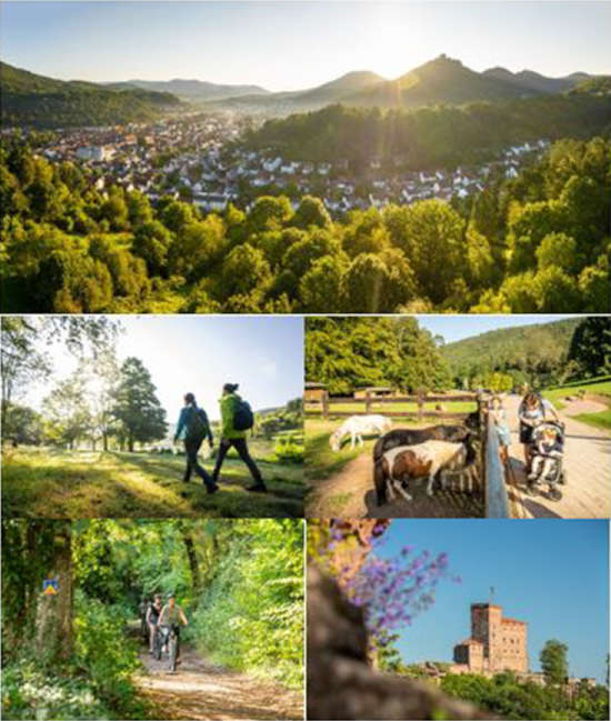 Tourismuskonzept Trifelsland 2035 veröffentlicht