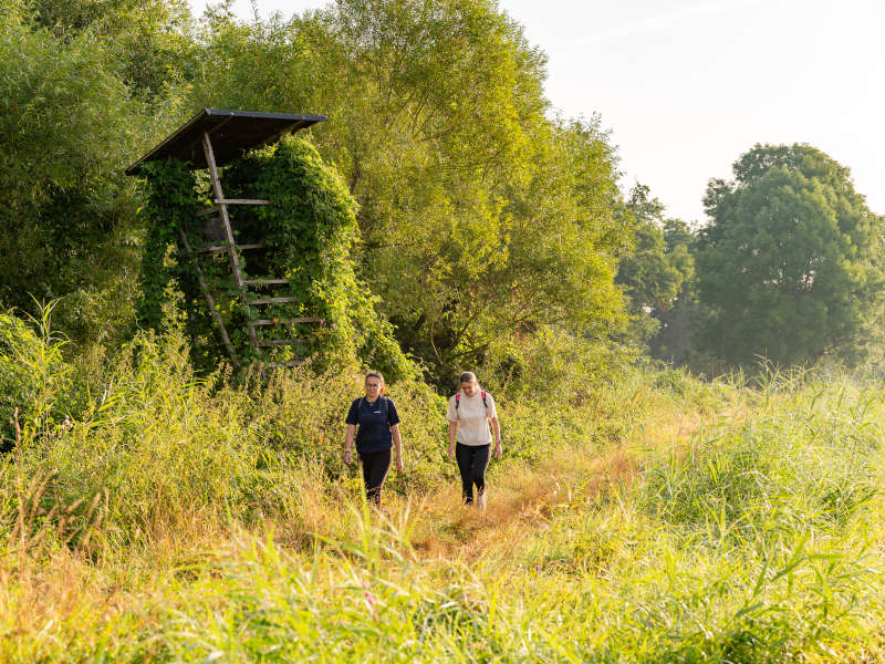 Wanderung durch die Queichwiesen in der Morgensonne (Foto: CC-BY Pfalz Touristik, Fachenbach Medien)