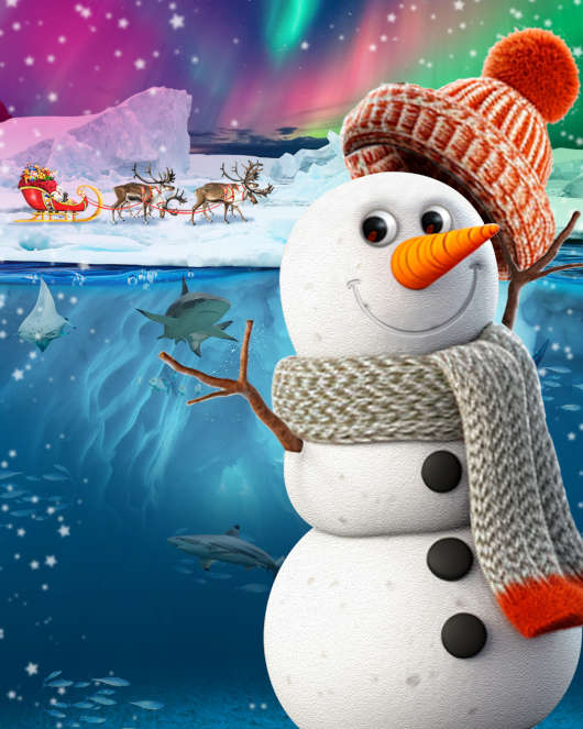 Snowy (Quelle: SEA LIFE Speyer)