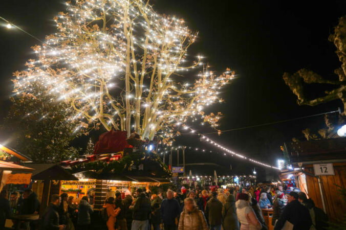 Deidesheimer Weihnachtsmarkt (Foto 2025: Holger Knecht)