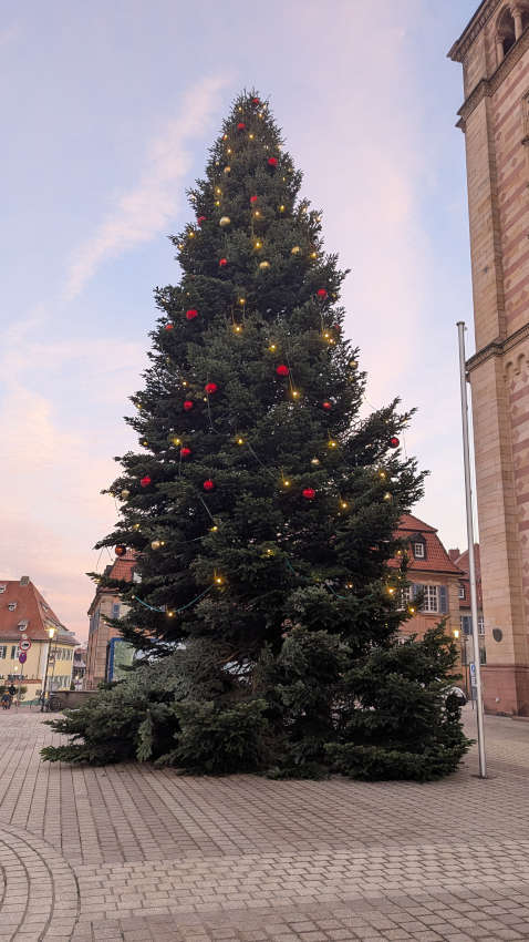 Der illuminierte Weihnachtsbaum (Foto: Stadt Speyer)