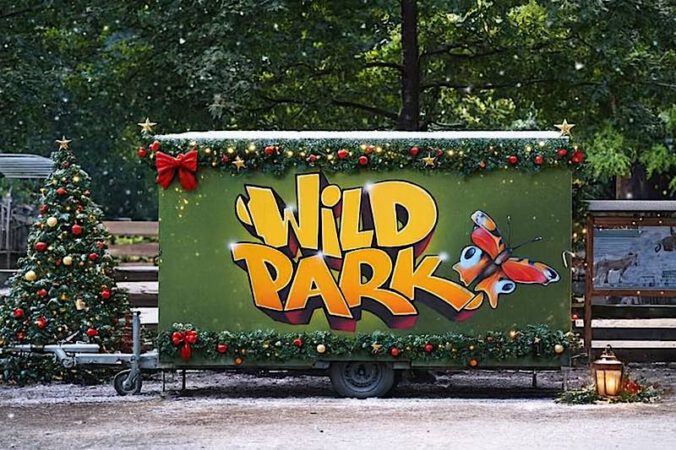 Wildpark Rheingönheim im Winter (Foto: Holger Knecht/KI)