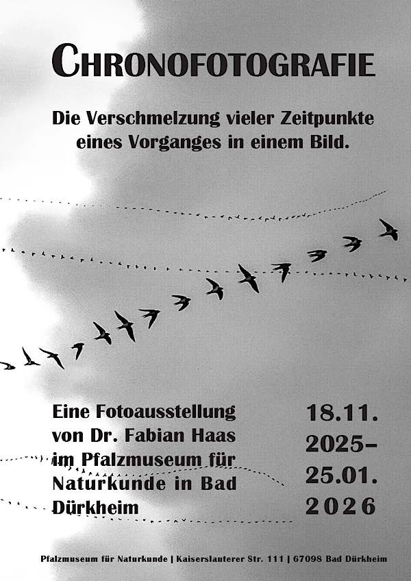 Sonderschau „Chronofotografie“ von November 2025 bis Januar 2026 im Pfalzmuseum Bad Dürkheim