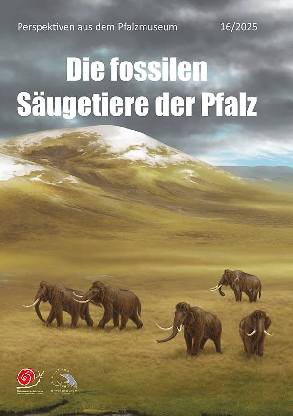 Quelle: Frederik Spindler