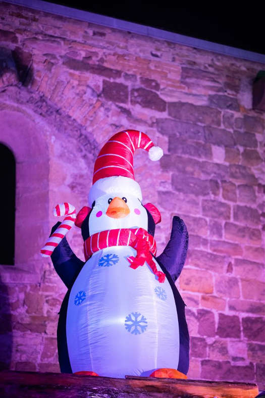 Weihnachtsmarkt Frankenthal (Foto: Pressestelle FT/Andreas Henn)