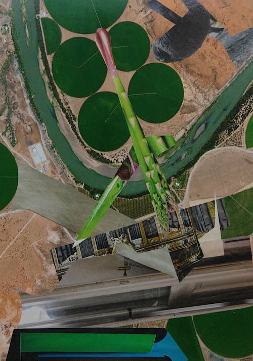 Collage-A (Quelle: Gerhard Fuchs)