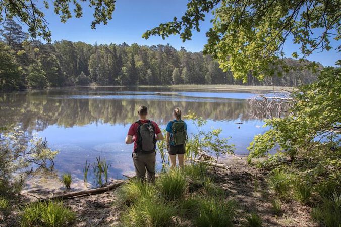Der Pfälzerwald bietet ein einzigartiges Naturerlebnis. Welche Veränderungen bringt der Klimawandel? (Foto: Biosphärenreservat Pfälzerwald-Nordvogesen/Yvon Meyer)