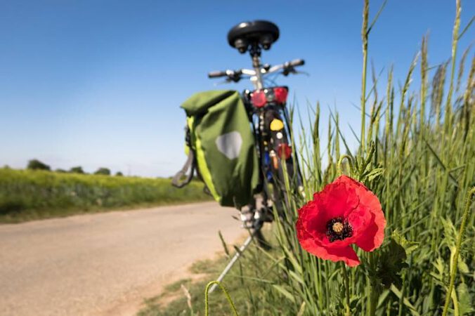 Symbolbild Fahrrad Radfahren (Foto: Pixabay/Didgeman/Thomas)