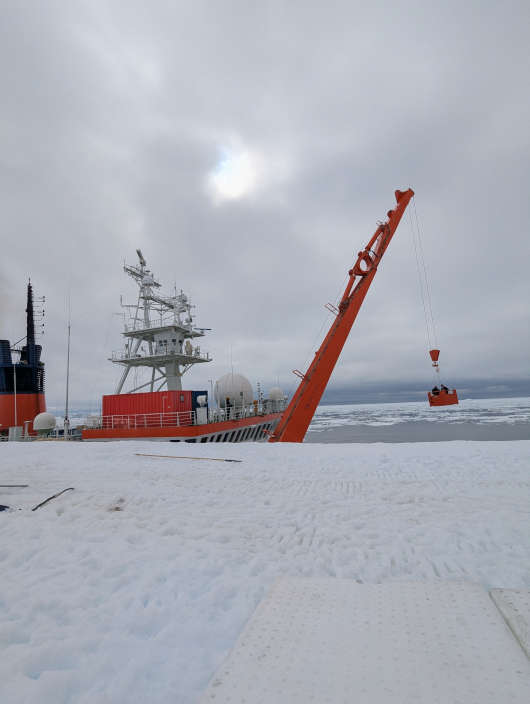 Entladen der MS Polarstern - Ankunft der Kiste (Foto: AWI/Ingo Gerstmann)