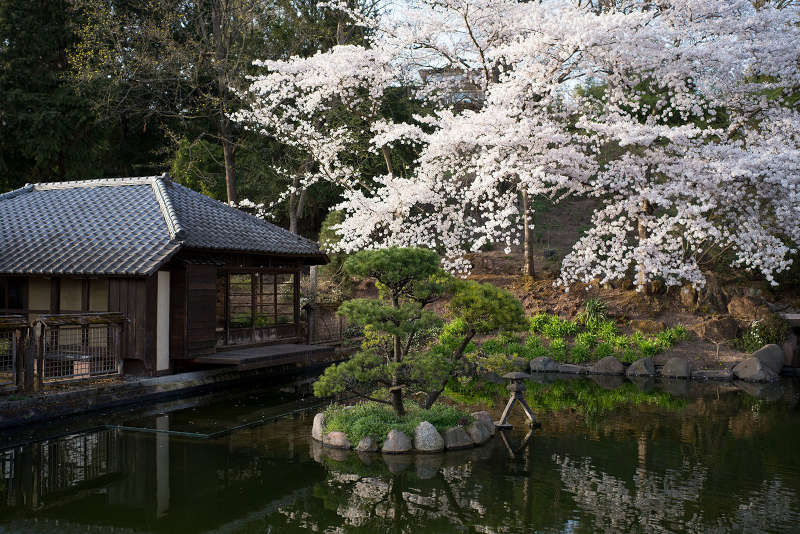 Foto: Japanischer Garten Kaiserslautern