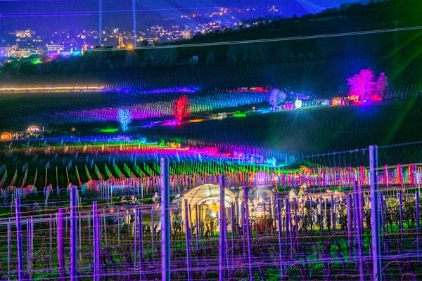 Weinbergnacht Bad Dürkheim (Foto: CC-BY Volker Fleckser)