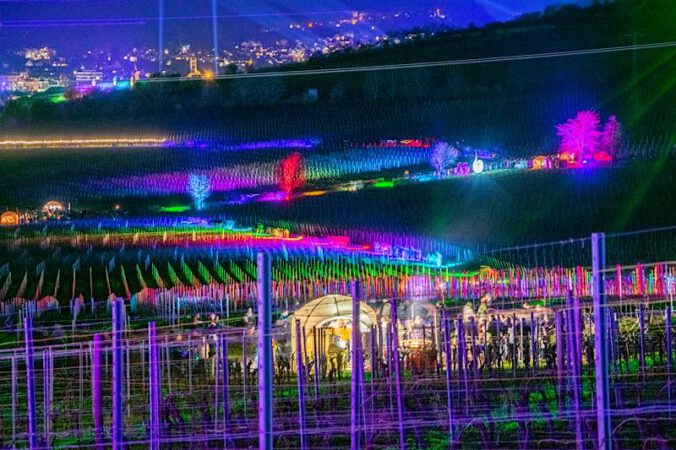 Weinbergnacht Bad Dürkheim (Foto: CC-BY Volker Fleckser)