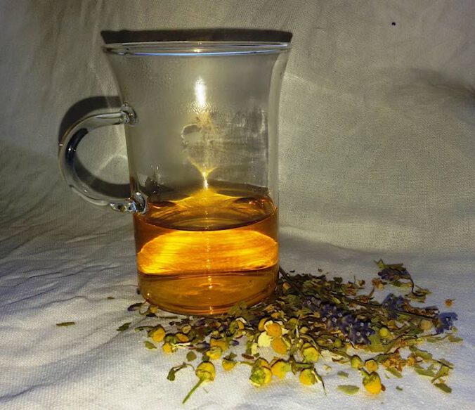 Foto: Vanessa Zürrlein