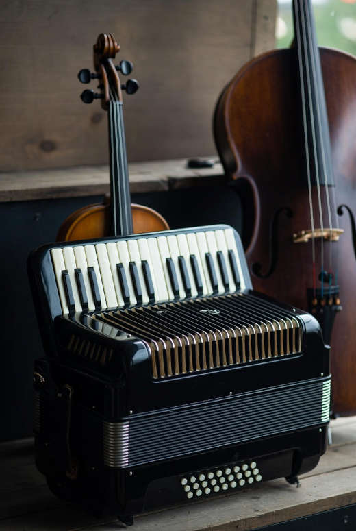 Symbolbild Akkordeon Streicher Violine Violoncello (Quelle: KI/Grok)