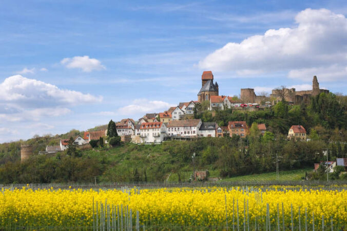 Blick auf Neuleiningen (Foto: Holger Knecht)